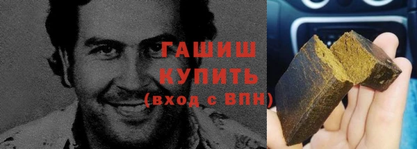 сатива Беломорск