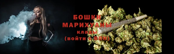 сатива Беломорск
