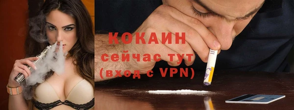 сатива Беломорск
