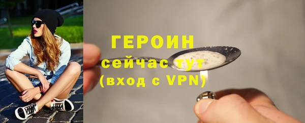 сатива Беломорск