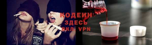 сатива Беломорск