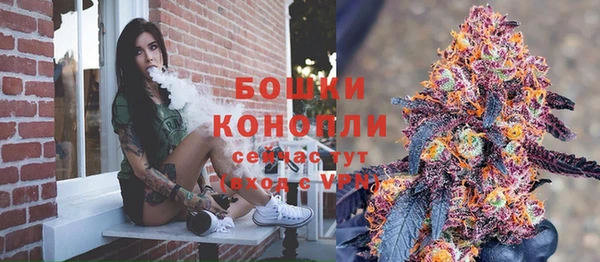 сатива Беломорск