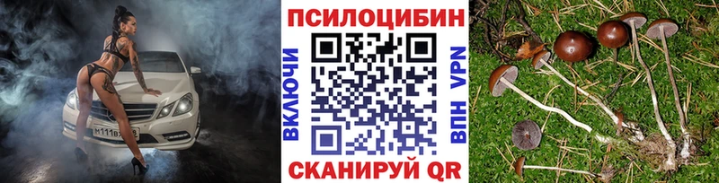 Галлюциногенные грибы Psilocybe  мега tor  Бугульма  где можно купить  
