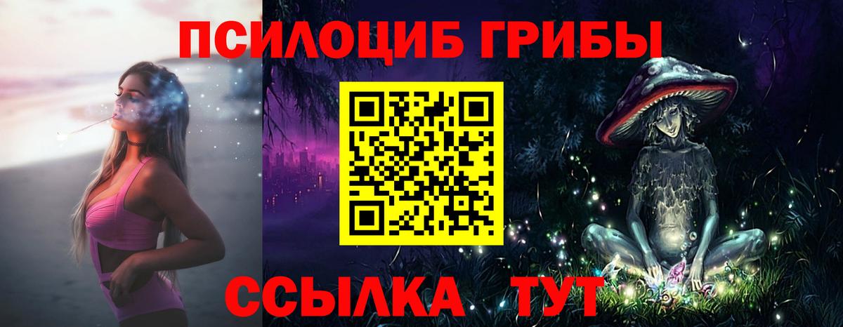 Галлюциногенные грибы Cubensis  Вход с VPN  Бугульма 